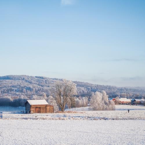 Vinter i Dalarna. 